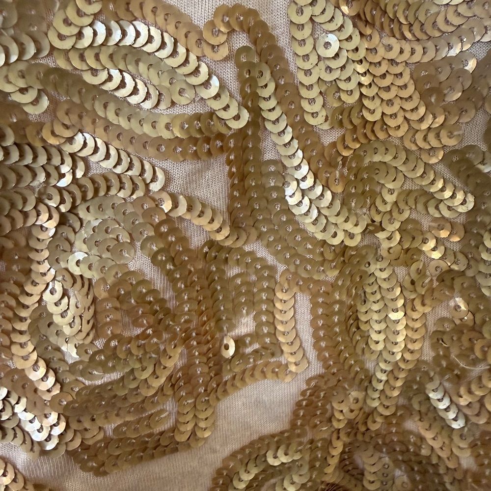 Express Light Pink Tank Top with Gold Sequin Detail - Picture 3 of 4